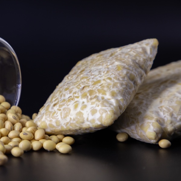 Fresh Soybean Tempeh (23g Protein/100g)