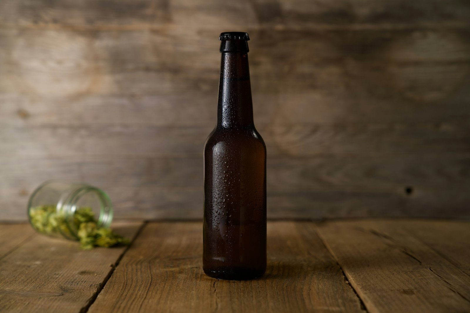 TempeWala Kombucha – wild-fermented probiotic drink with SCOBY