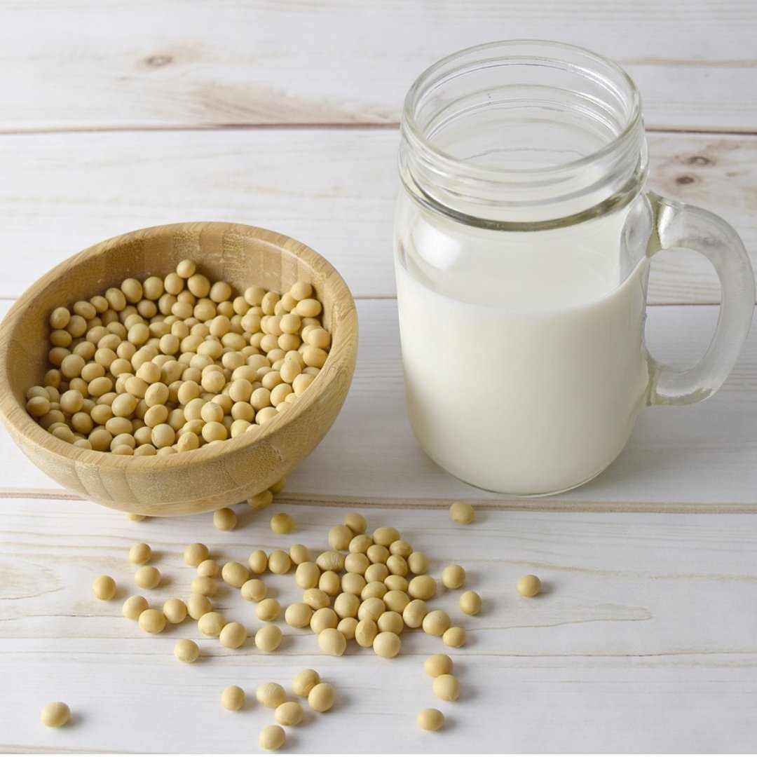 TempeWala Soy Milk – plant-based dairy, 2 ingredients